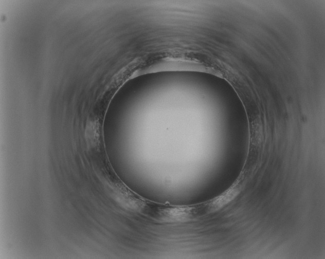 X0000062880184200601201829