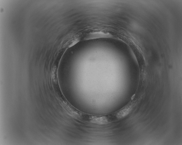 X0000062880185200601201829