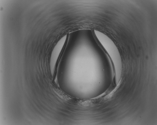 X0000062880186200601201829