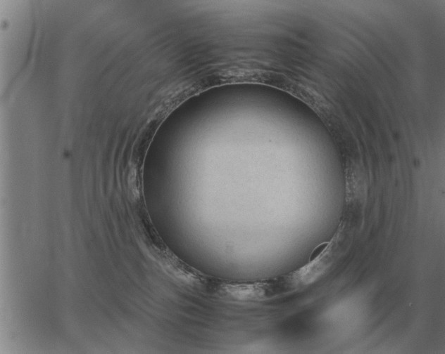 X0000062880187200601201829