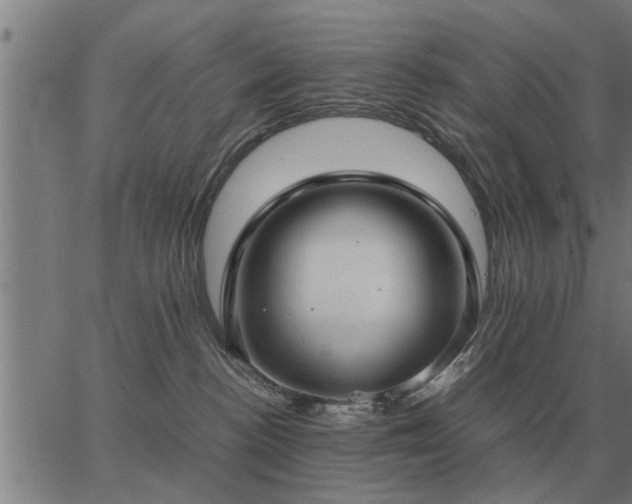 X0000062880188200601201829