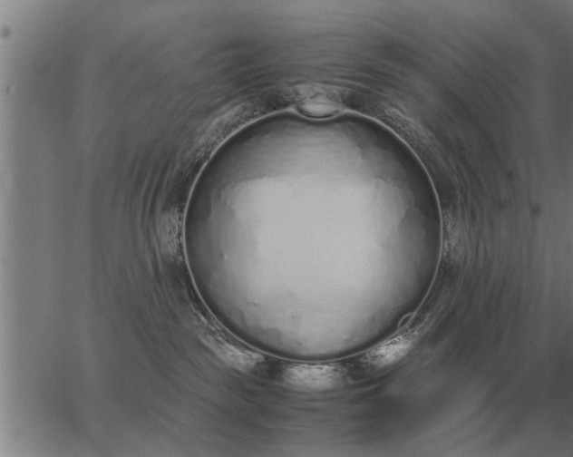 X0000062880189200601201829