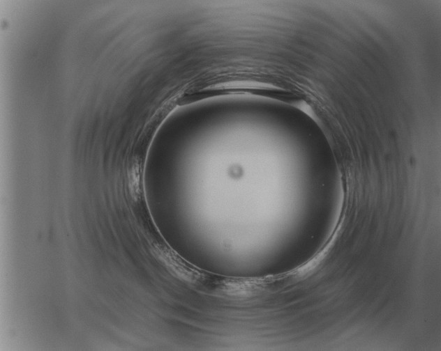 X0000062880190200601201829