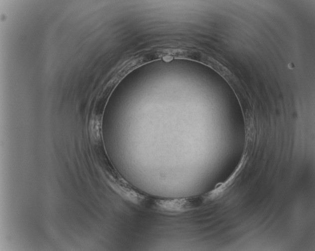 X0000062880191200601201829