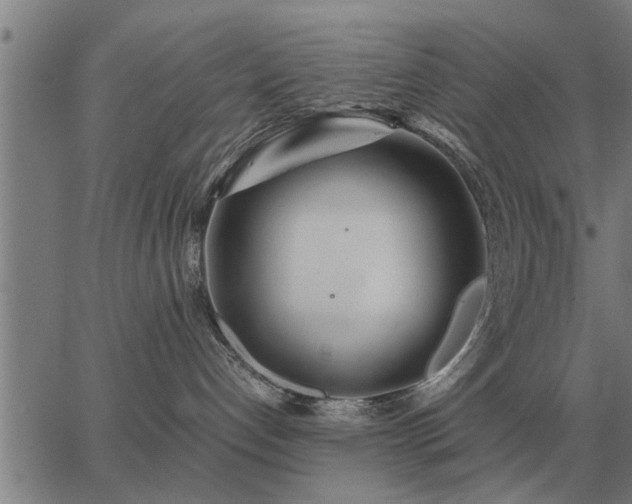 X0000062880192200601201829