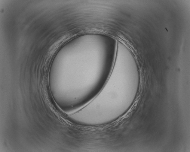 X0000062880193200601201828