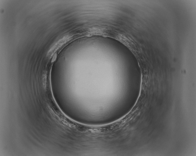 X0000062880194200601201828