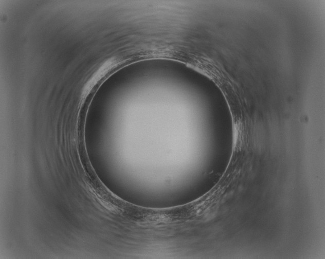 X0000062880195200601201828