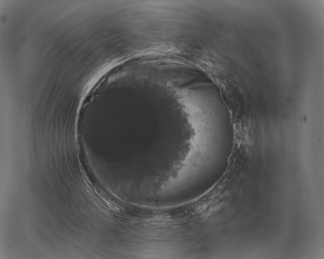 X0000062880196200601201828