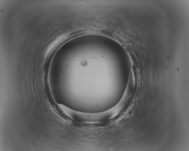 X0000062880197200601201828