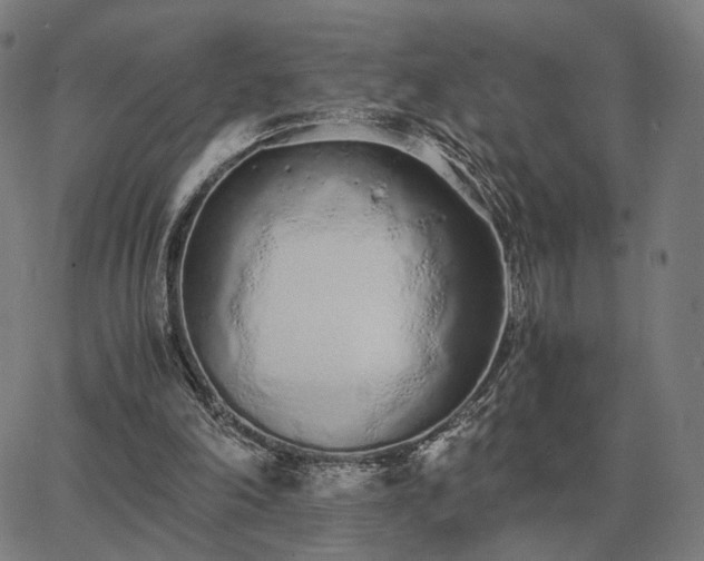 X0000062880198200601201828