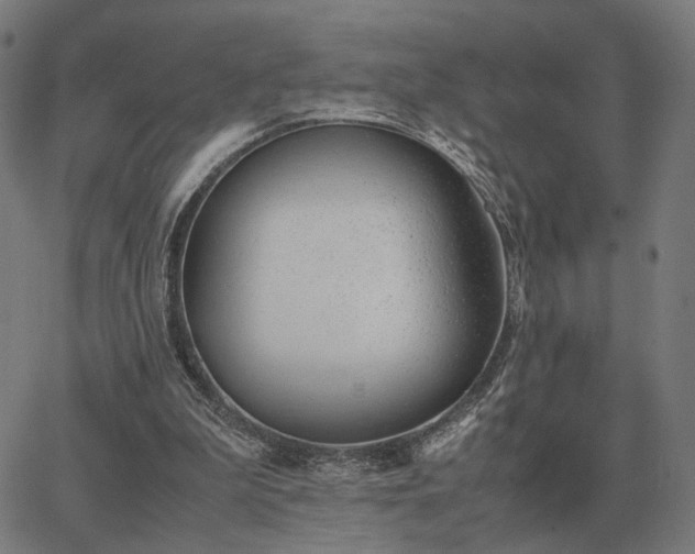 X0000062880199200601201828