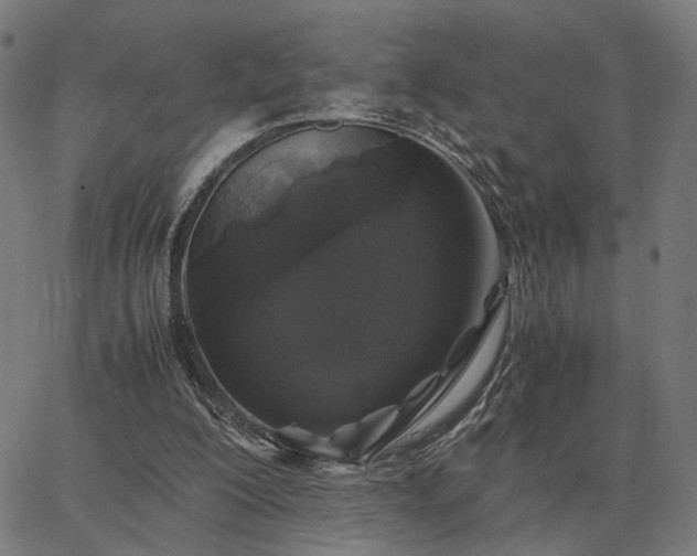 X0000062880200200601201828