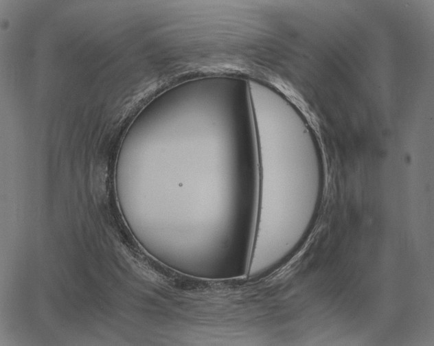 X0000062880201200601201828