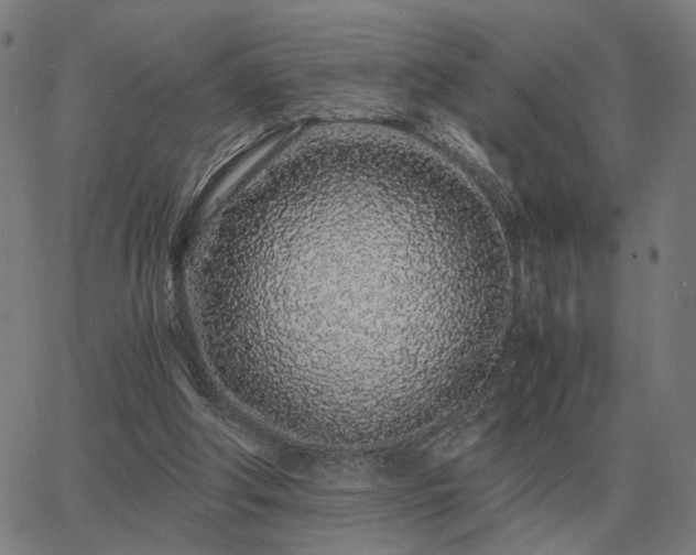 X0000062880202200601201828