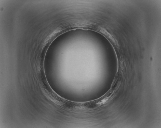 X0000062880203200601201828