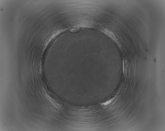 X0000062880204200601201828