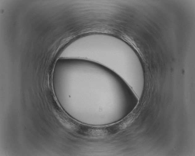 X0000062880205200601201828