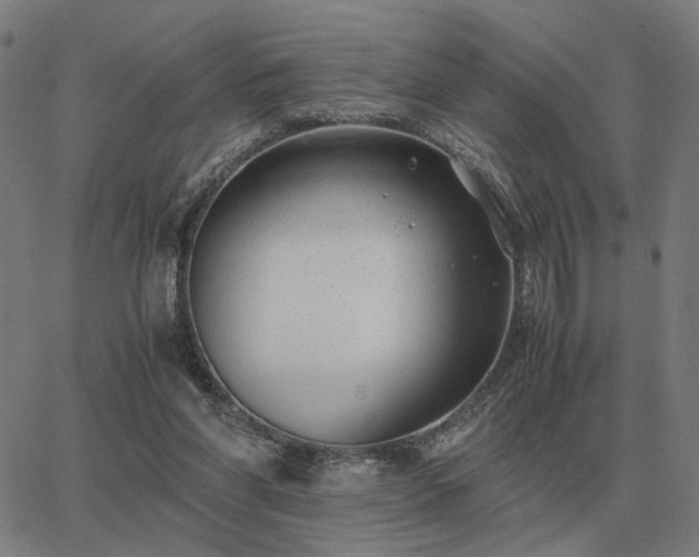 X0000062880206200601201828