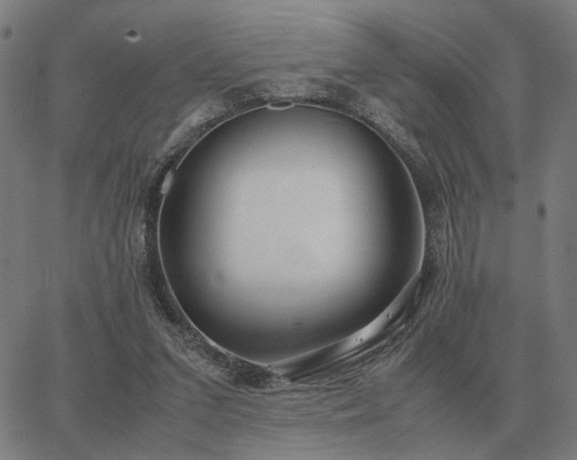 X0000062880207200601201828