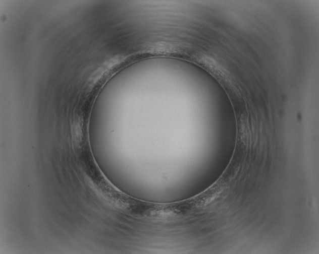 X0000062880208200601201828