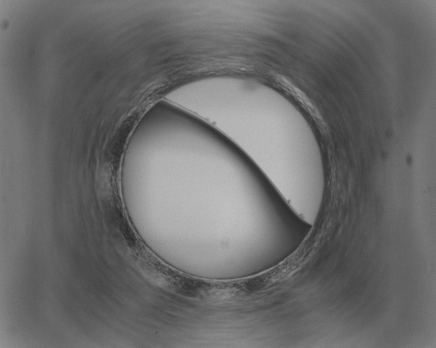 X0000062880209200601201828