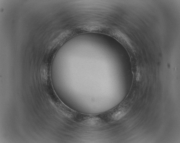 X0000062880210200601201828