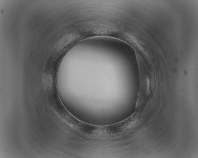 X0000062880211200601201828