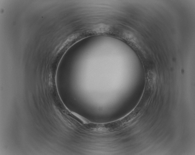 X0000062880212200601201828