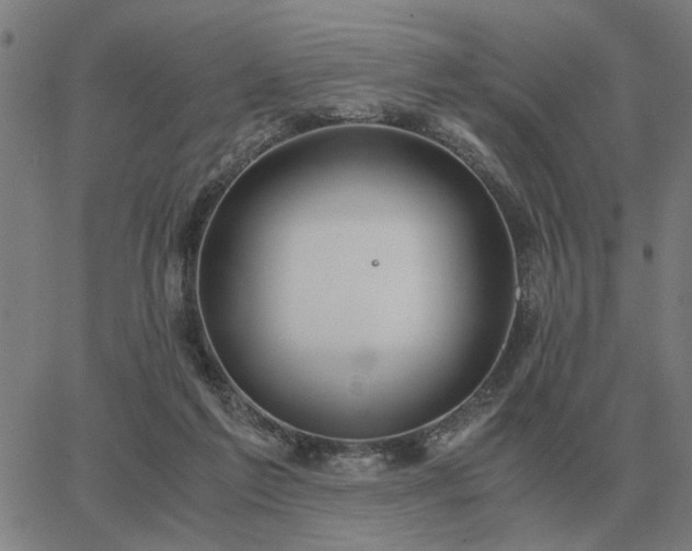 X0000062880213200601201828