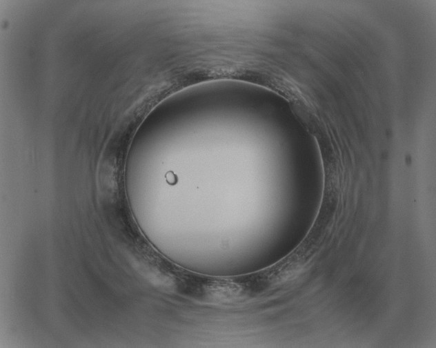 X0000062880215200601201828