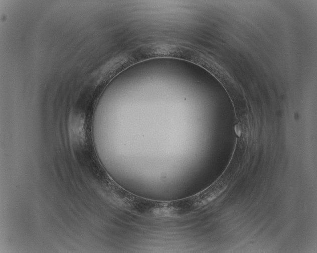 X0000062880216200601201828