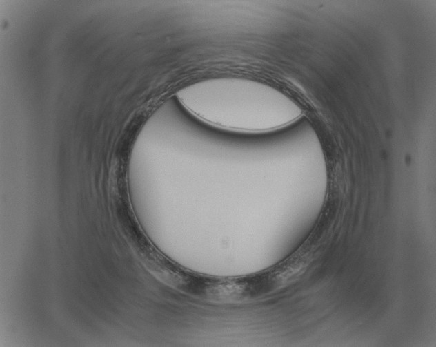 X0000062880217200601201828