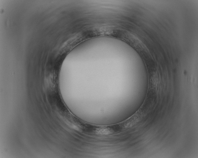 X0000062880218200601201828