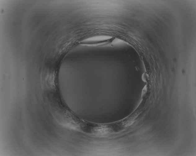 X0000062880219200601201828