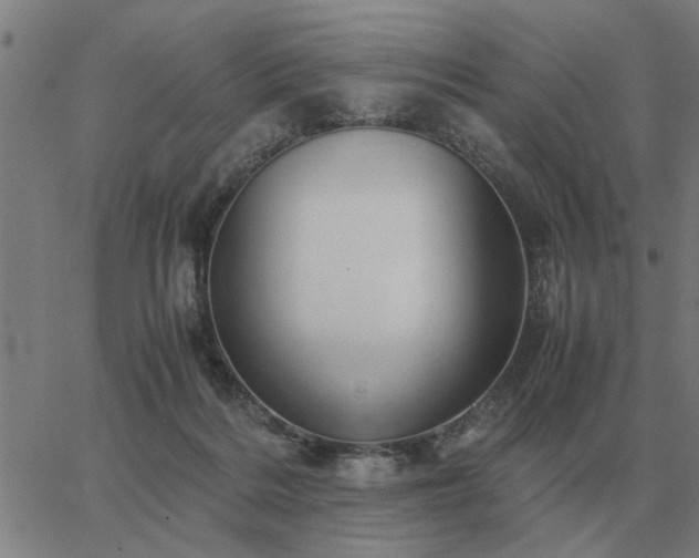 X0000062880220200601201828