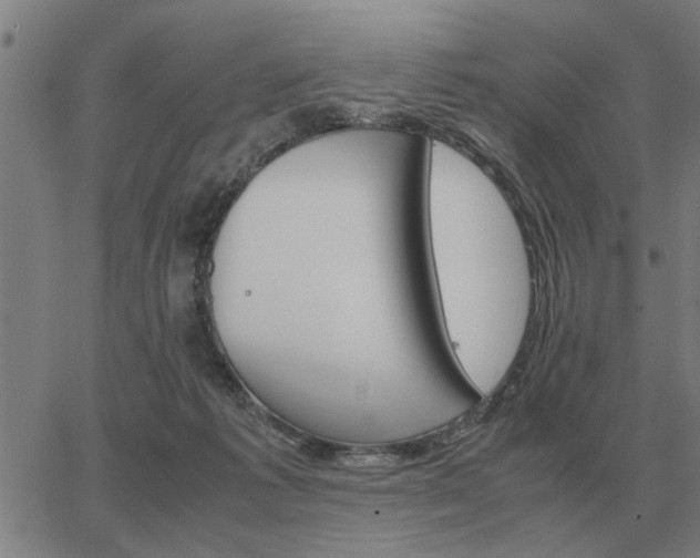 X0000062880221200601201828