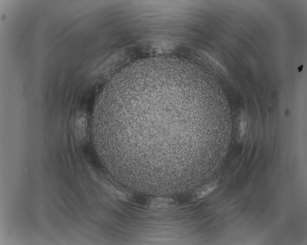 X0000062880222200601201828