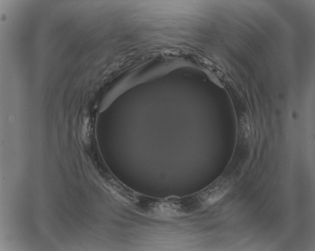 X0000062880223200601201828