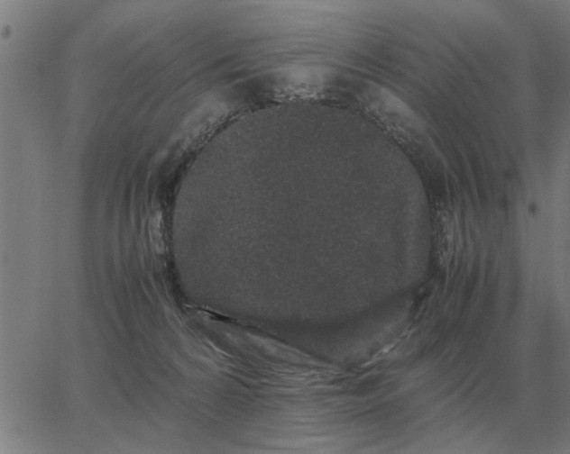 X0000062880224200601201828