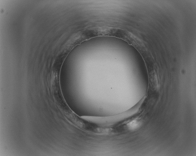 X0000062880225200601201828