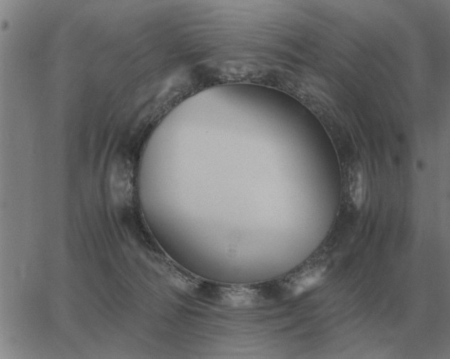 X0000062880226200601201828