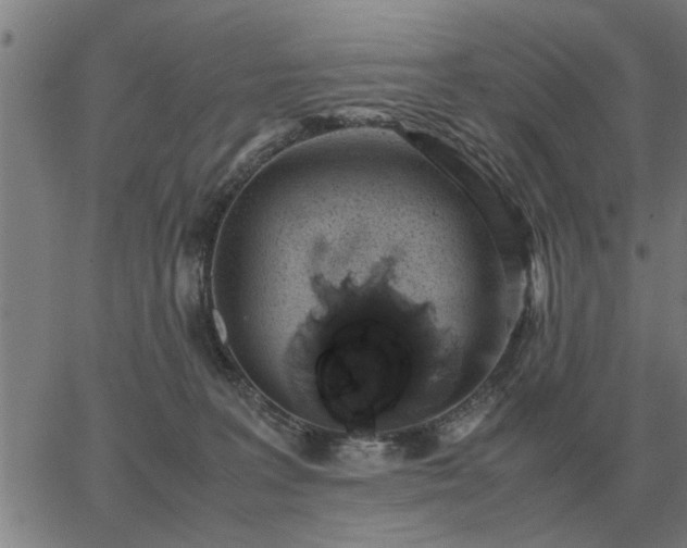 X0000062880227200601201828