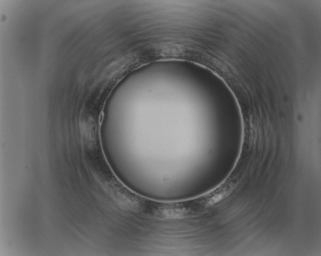 X0000062880228200601201828