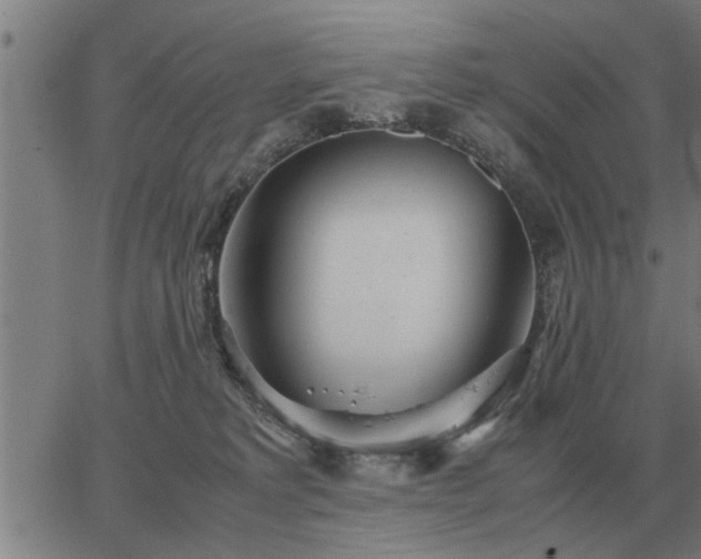 X0000062880229200601201828