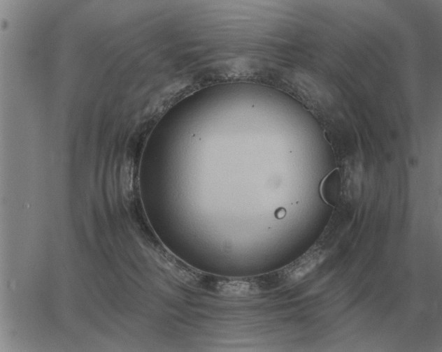 X0000062880230200601201828