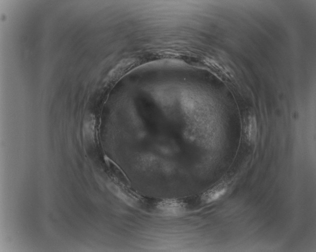 X0000062880231200601201828