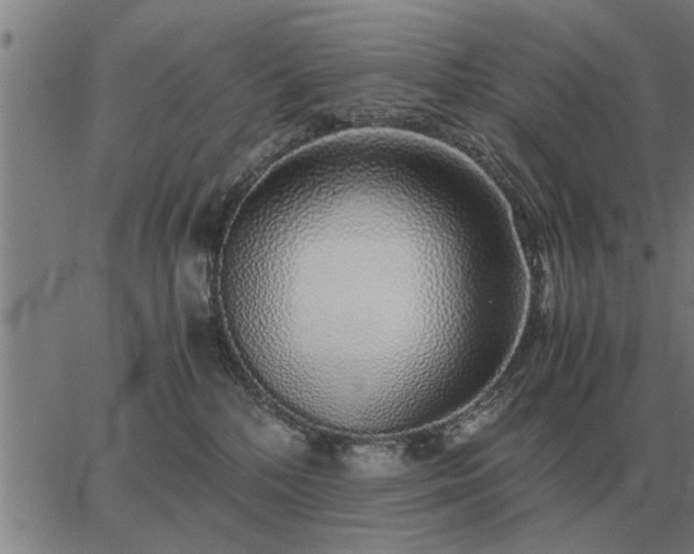 X0000062880232200601201828