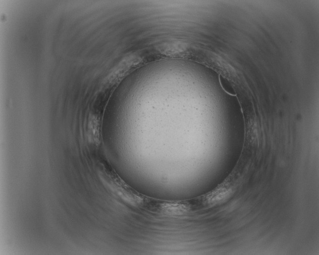 X0000062880234200601201828