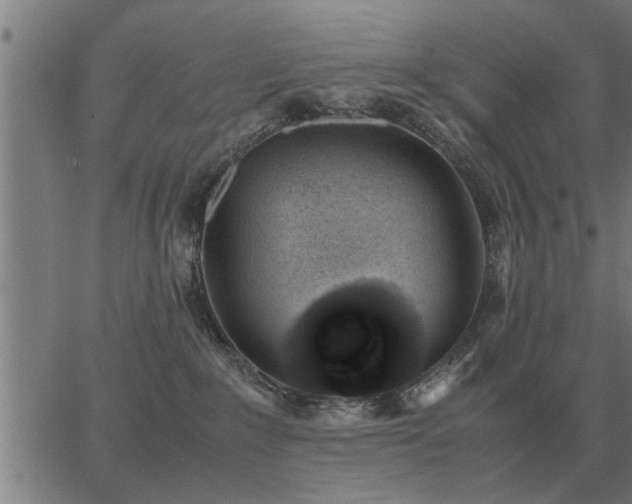 X0000062880235200601201828